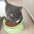 Low Tilted Ceramic Cat Bowl by CATATI SELECTED - White - Feeder - Catati