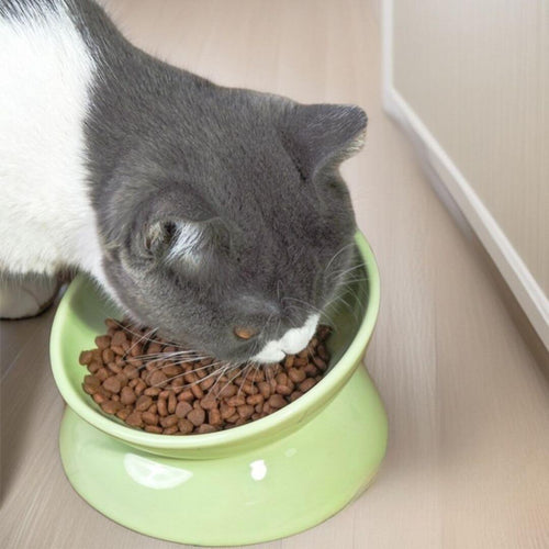 Low Tilted Ceramic Cat Bowl - White - Feeder - Catati Cat Store