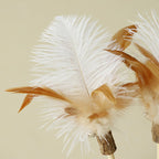 Matatabi Feather Cat Wand – NZ Natural Teaser by CATATI SELECTED - Black - Toys - Catati