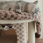 Monster Muffin Cat Tower – Compact Scratcher for NZ Homes by TOLEA - Default Title - Furniture - Catati