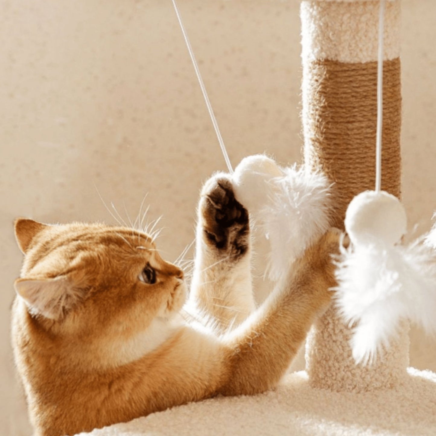 Nordic Cat Tree House - catati - nz - cat - products - online