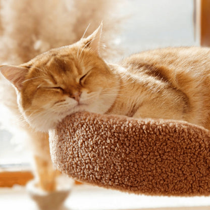 Nordic Cat Tree House - catati - nz - cat - products - online