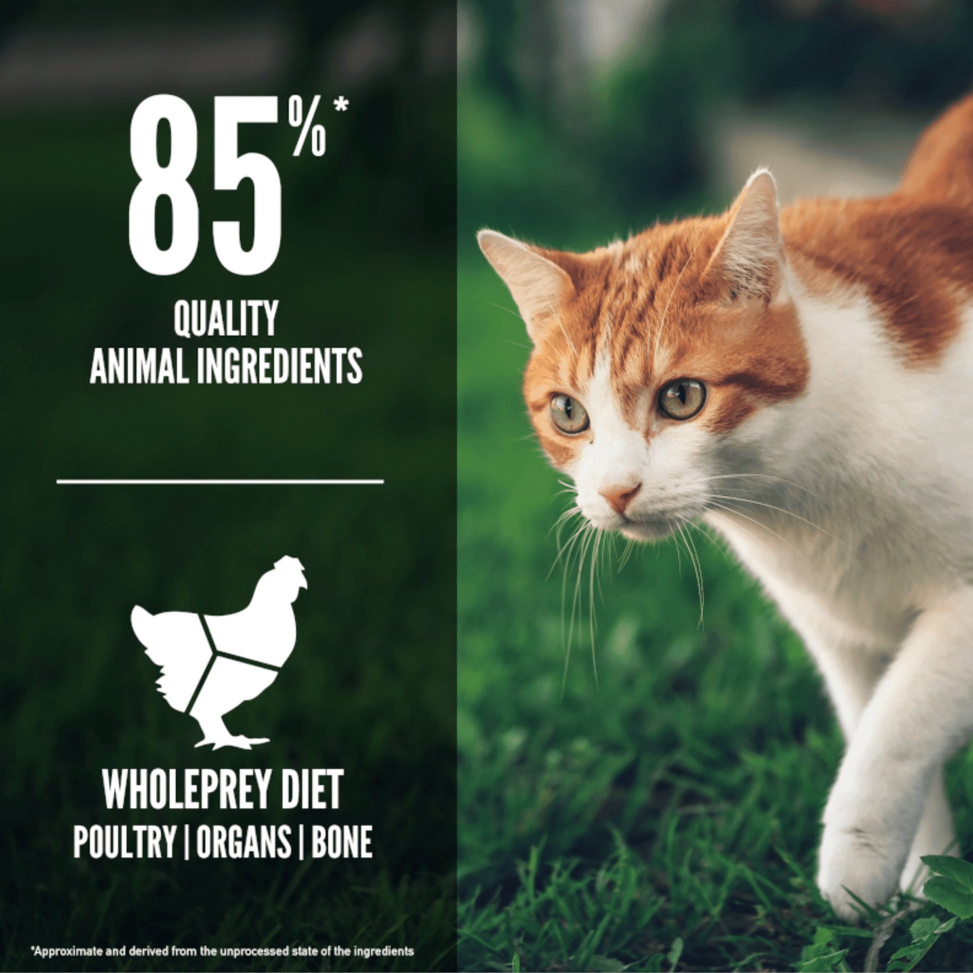 Orijen Fit & Trim Dry Cat Food - catati - nz - cat - products - online