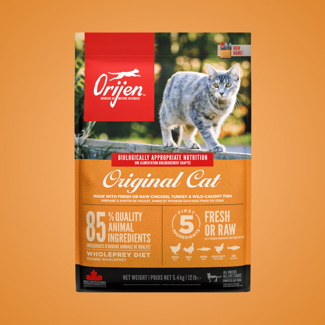 Feeding Foods Catati NZ