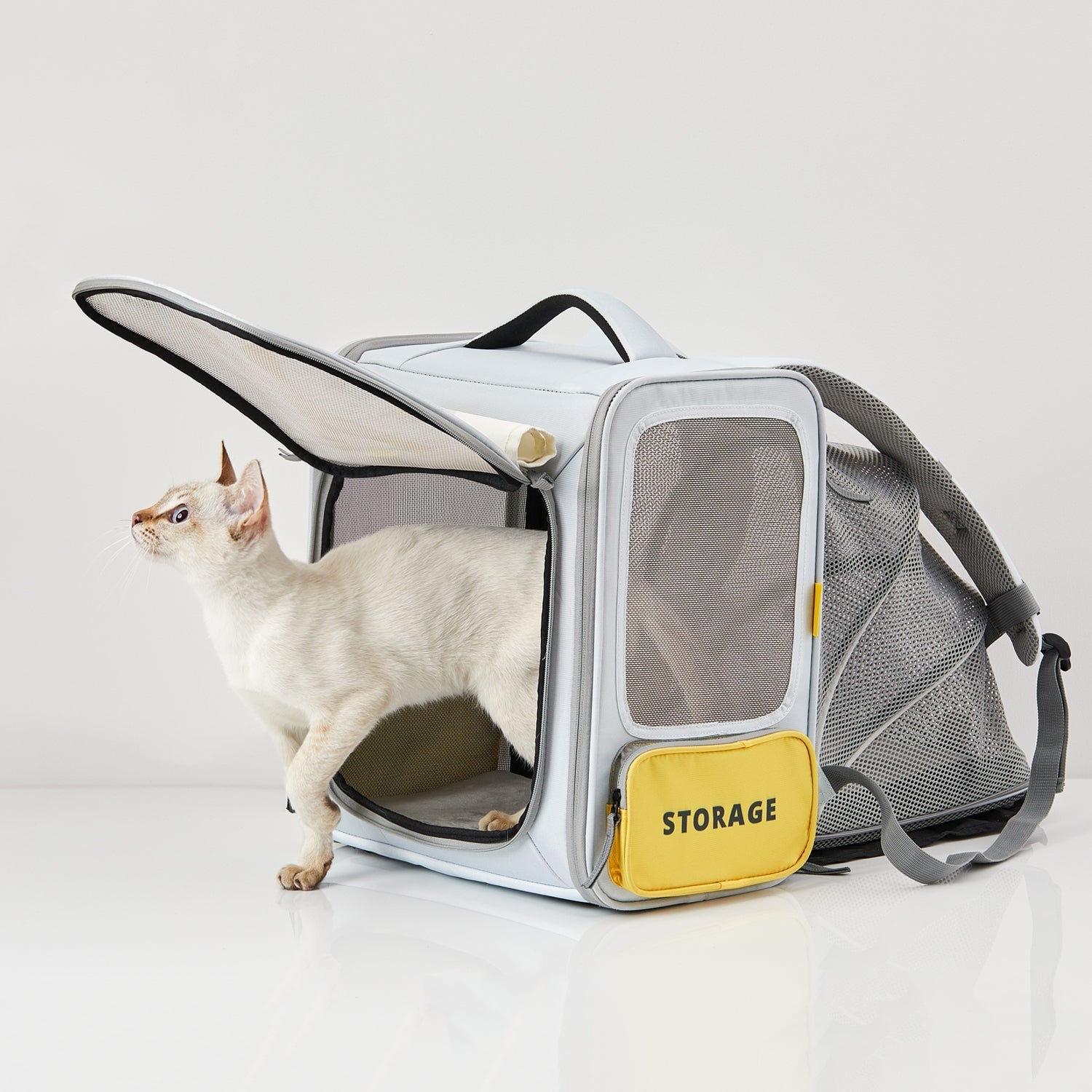 Petkit Breezy Zone Cat Carrier - catati - nz - cat - products - online