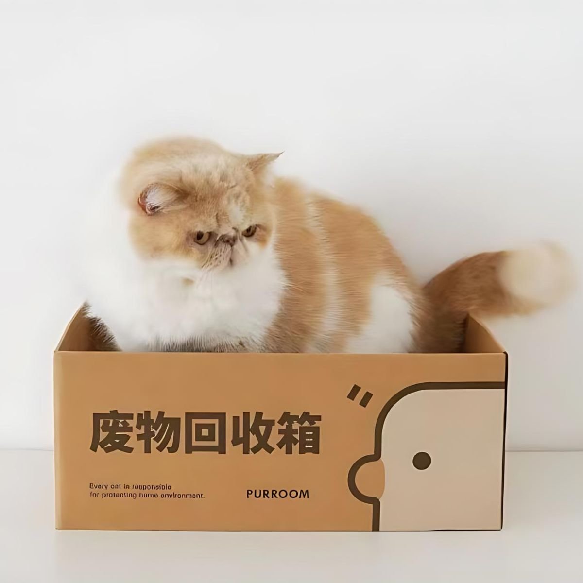 PURROOM "Recycle (废物回收箱)" Cat Scratching Board - catati - nz - cat - products - online