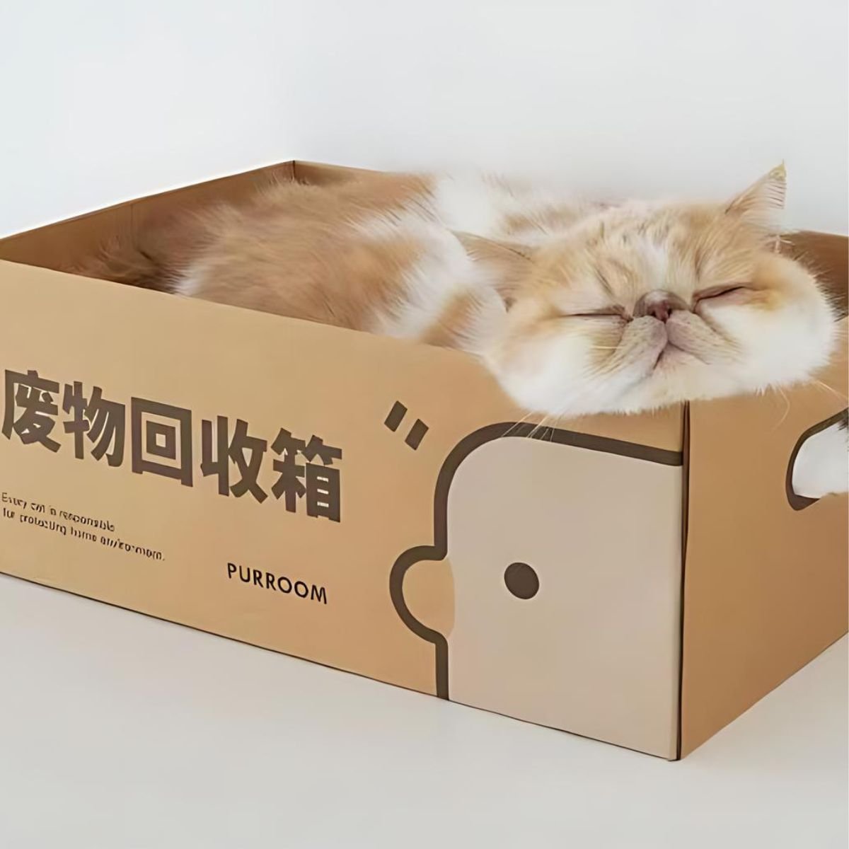 PURROOM "Recycle (废物回收箱)" Cat Scratching Board - catati - nz - cat - products - online