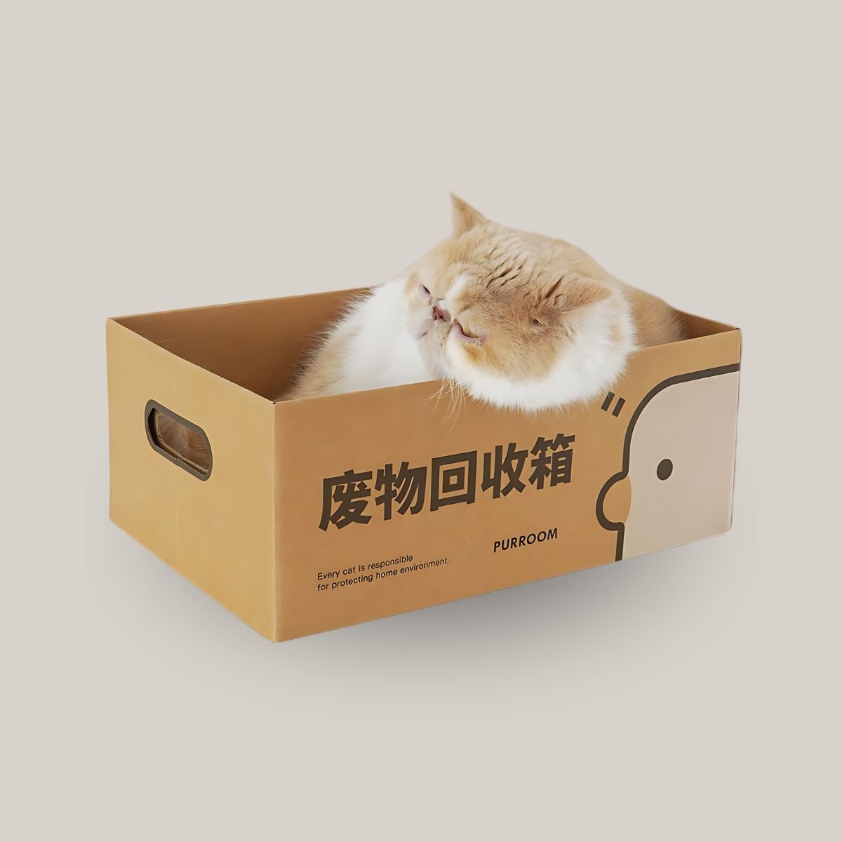 PURROOM "Recycle (废物回收箱)" Cat Scratching Board - catati - nz - cat - products - online