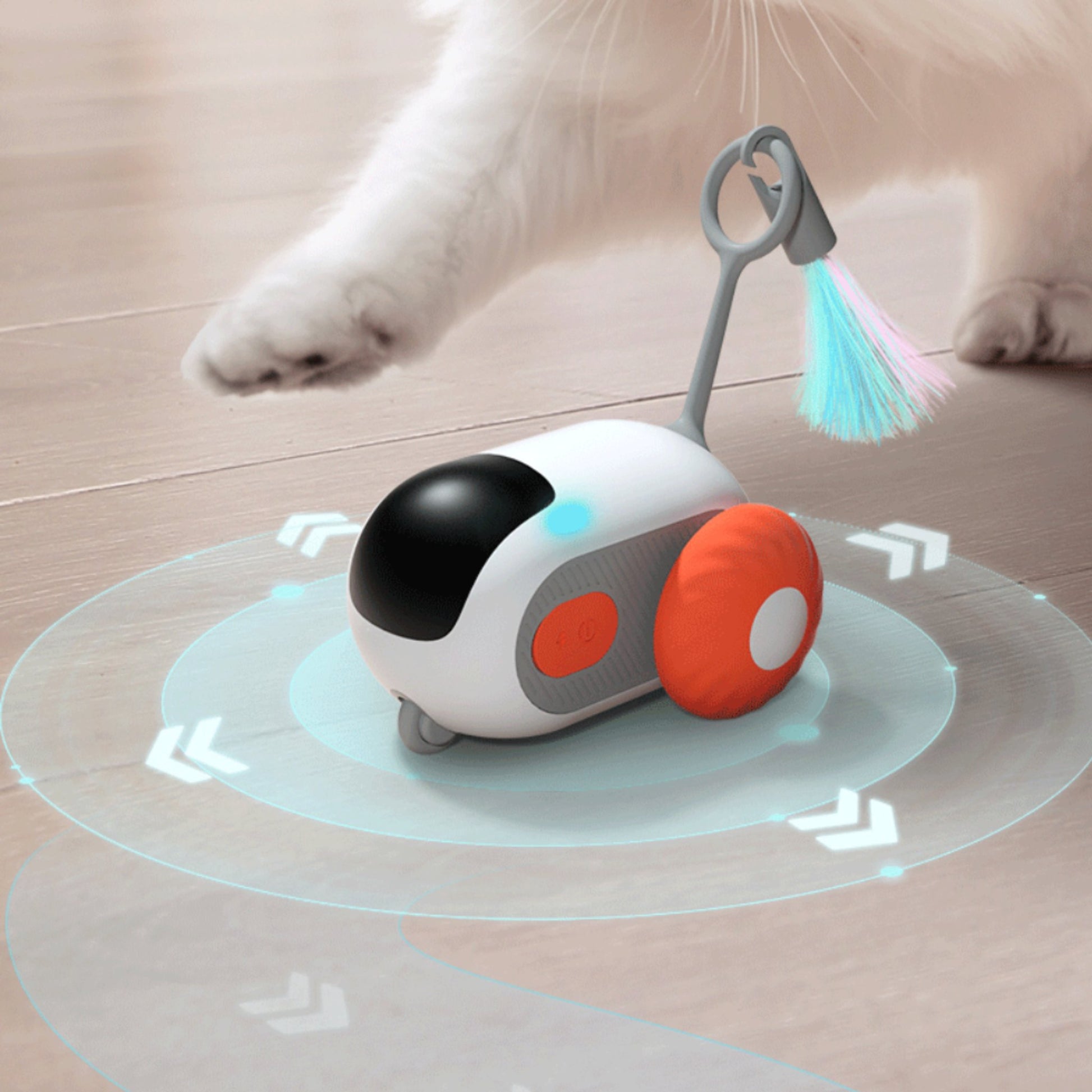 RC Mouse Cat Toy - catati - nz - cat - products - online