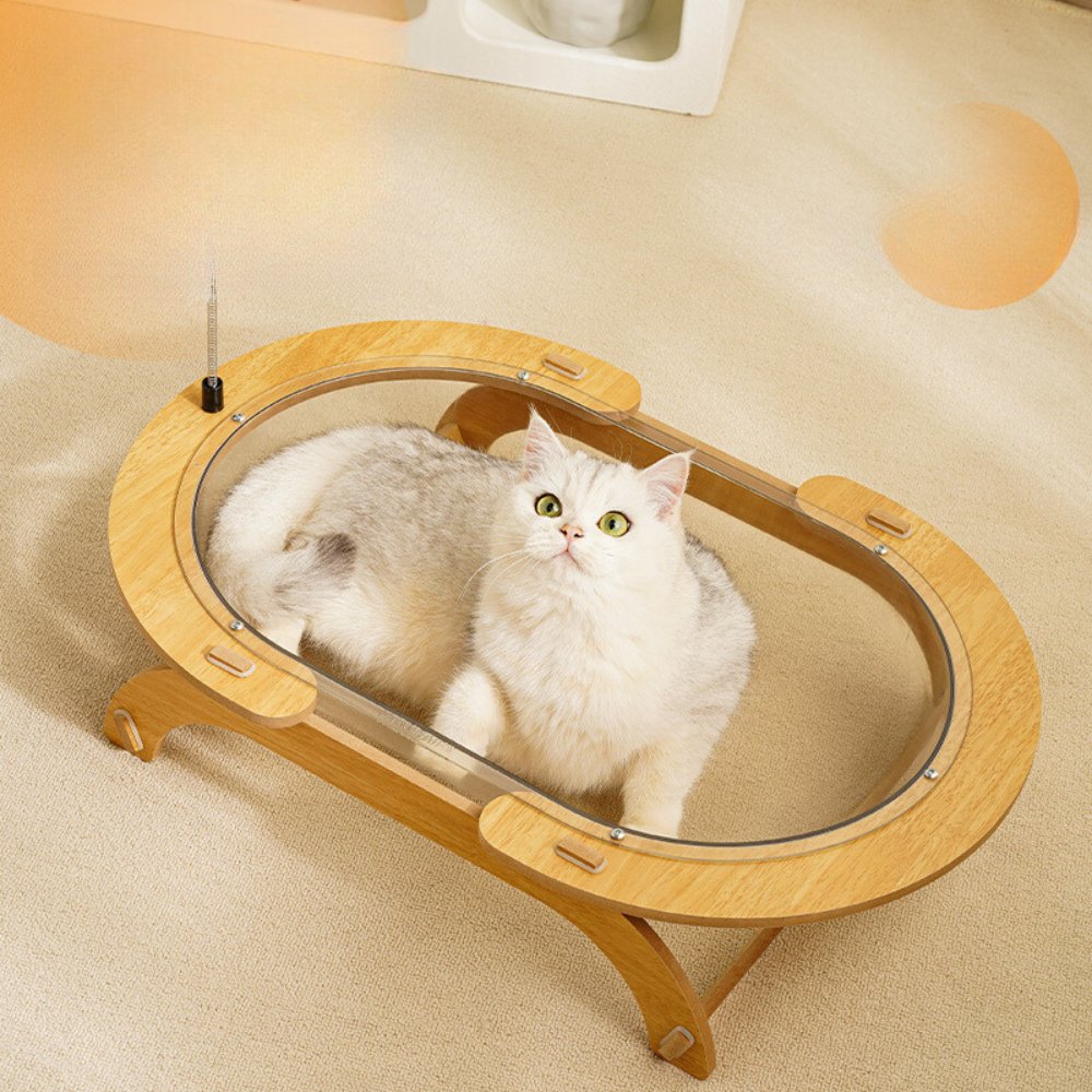 Round Transparent Space Capsule Cat Bed - catati - nz - cat - products - online