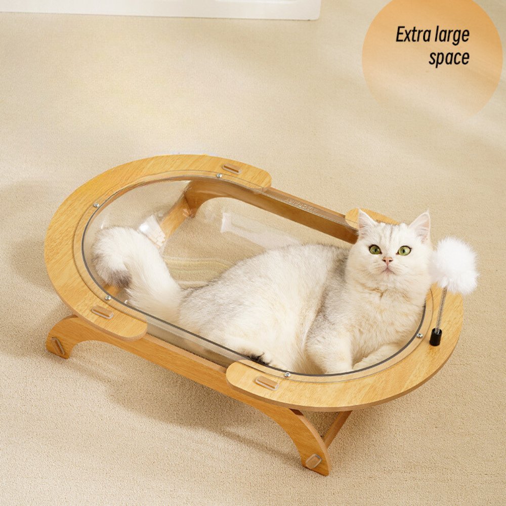 Round Transparent Space Capsule Cat Bed - catati - nz - cat - products - online