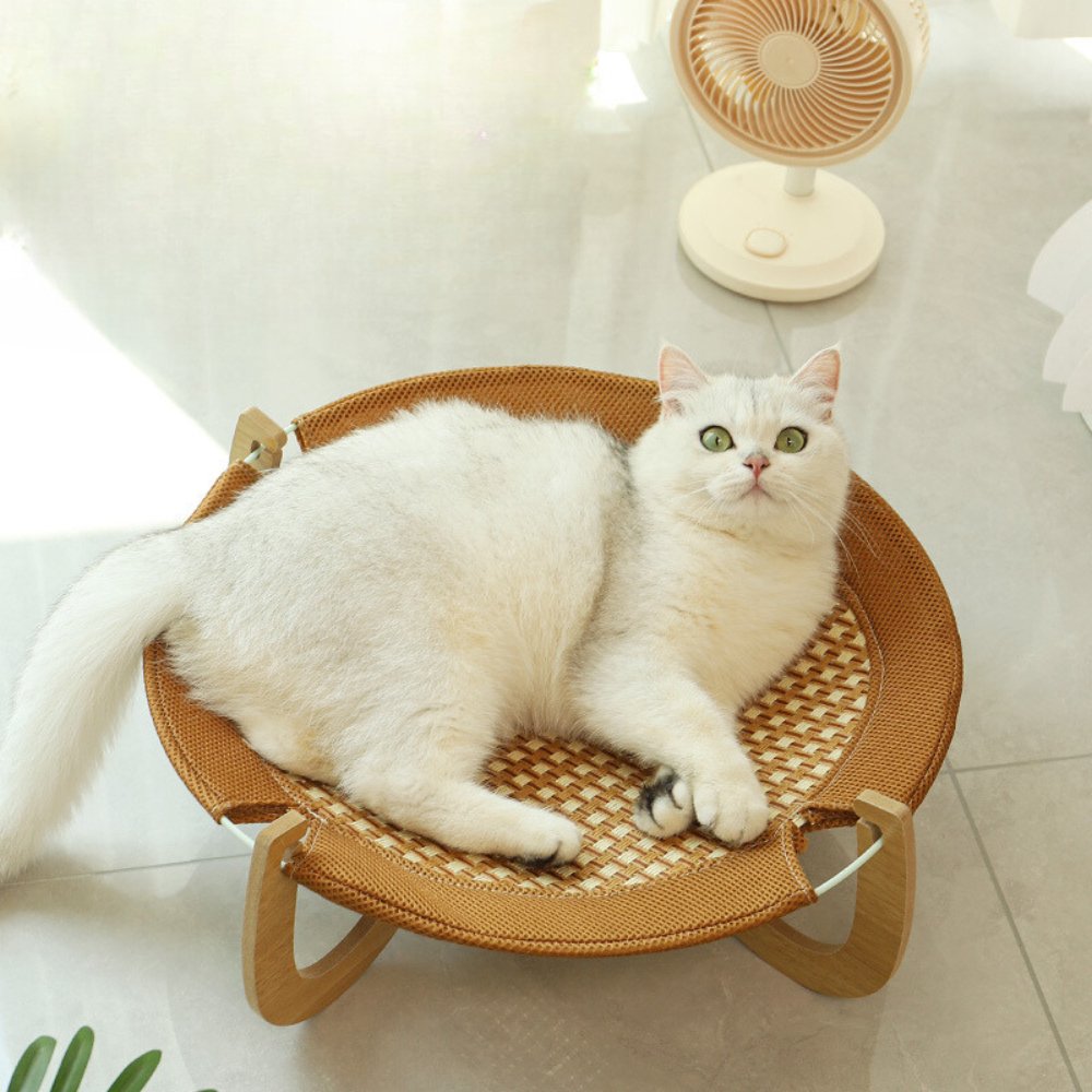 Rounded Corner Cat Camp Bed - catati - nz - cat - products - online