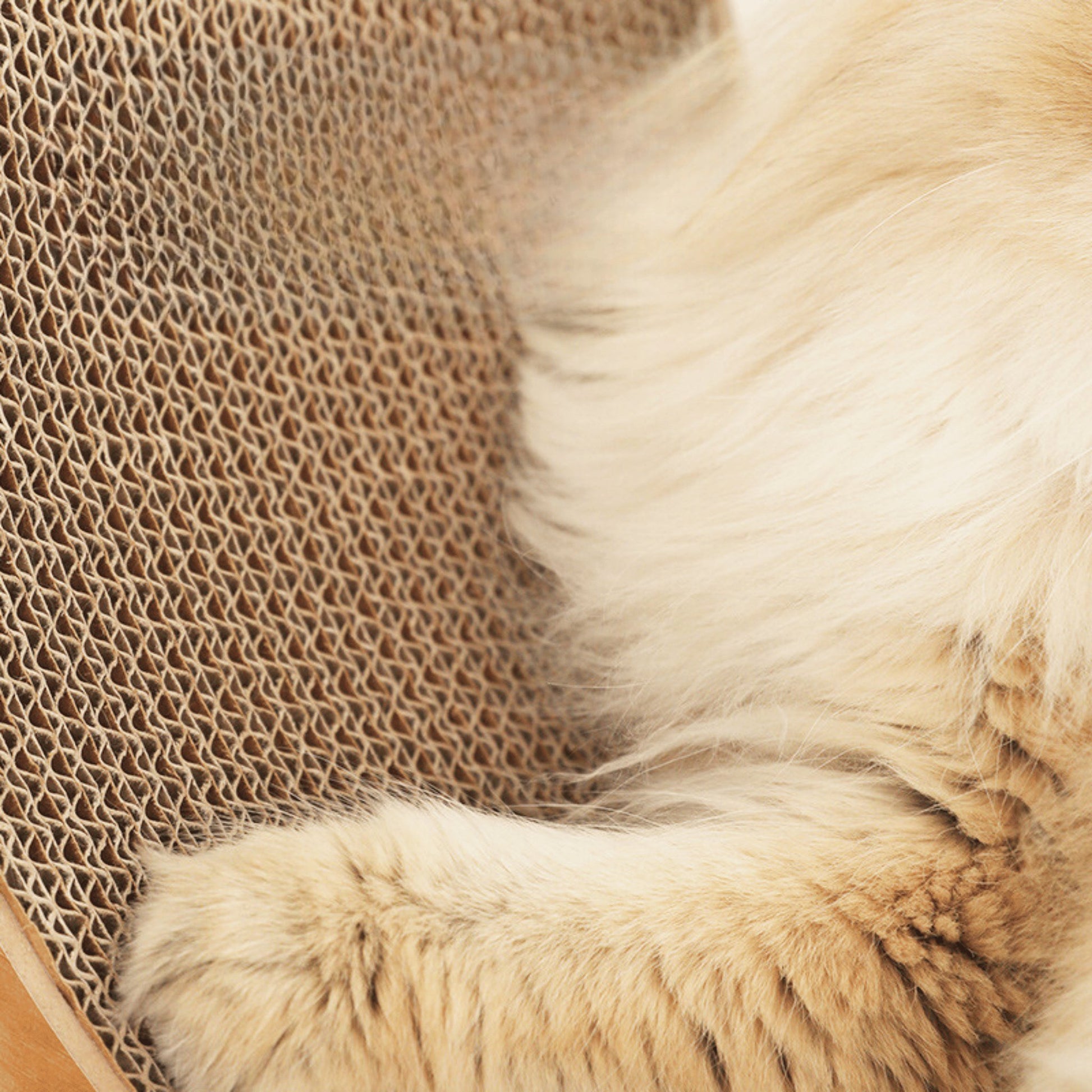 Sofa Cat Scratching Bed - catati - nz - cat - products - online