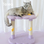 StarryNest Cat Bed by TOLEA - Default Title - Furniture - Catati