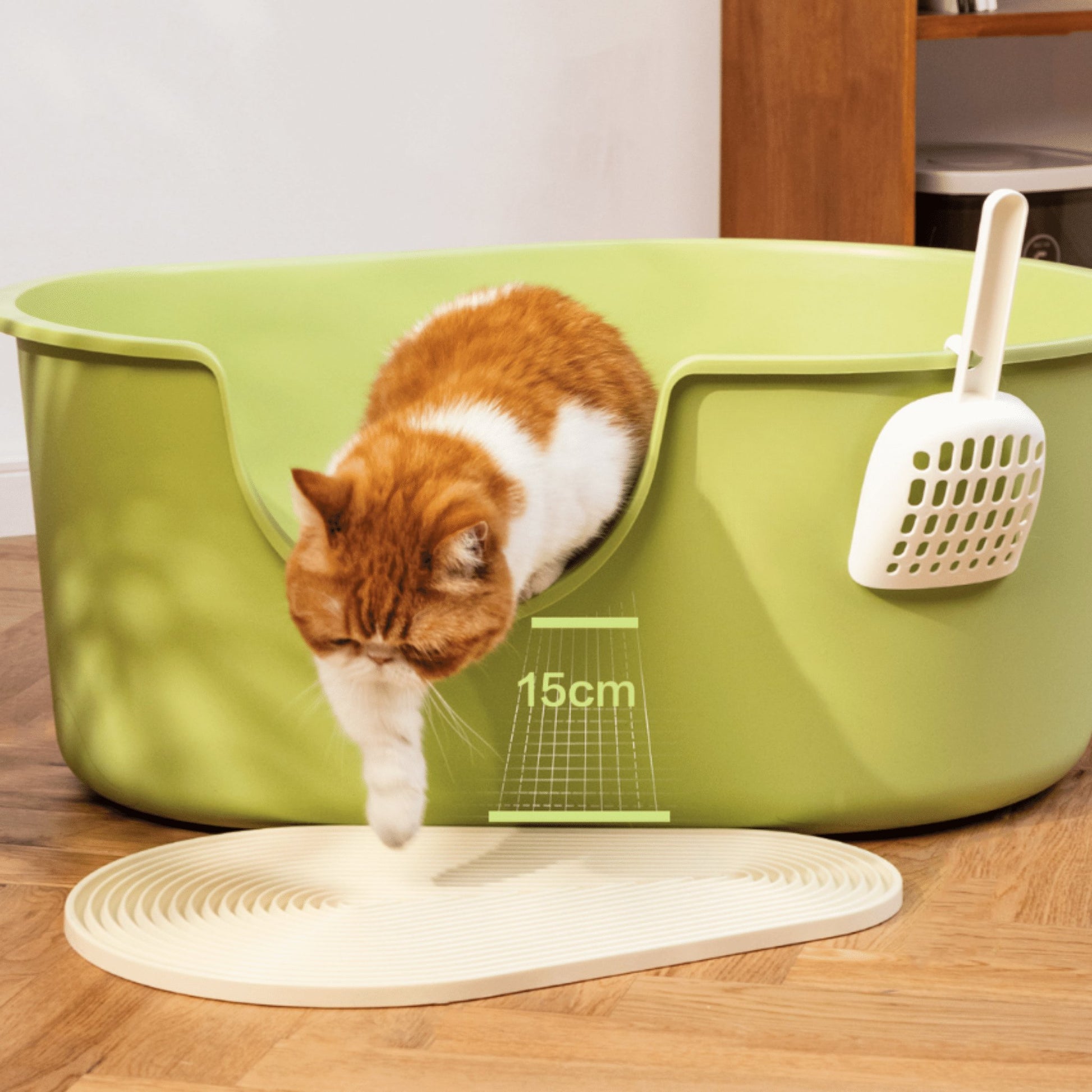 Super Large Avocado Cat Litter Box + Mat & Scoop - catati - nz - cat - products - online