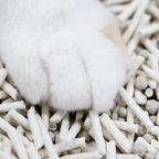 Tofu & Tapioca Cat Litter by CATATI SELECTED - 1-Bag - Litter - Catati