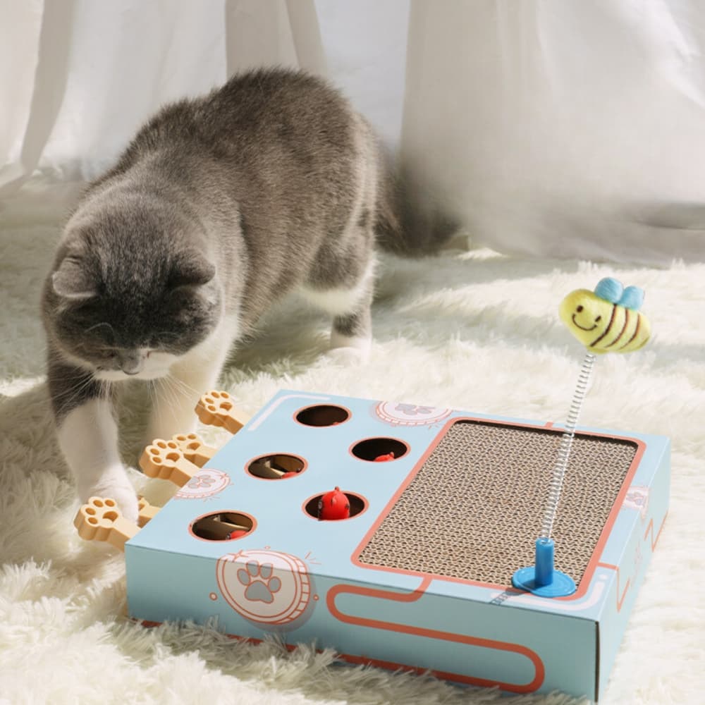 Whack - a - Mole Cat Scratching Toy - catati - nz - cat - products - online