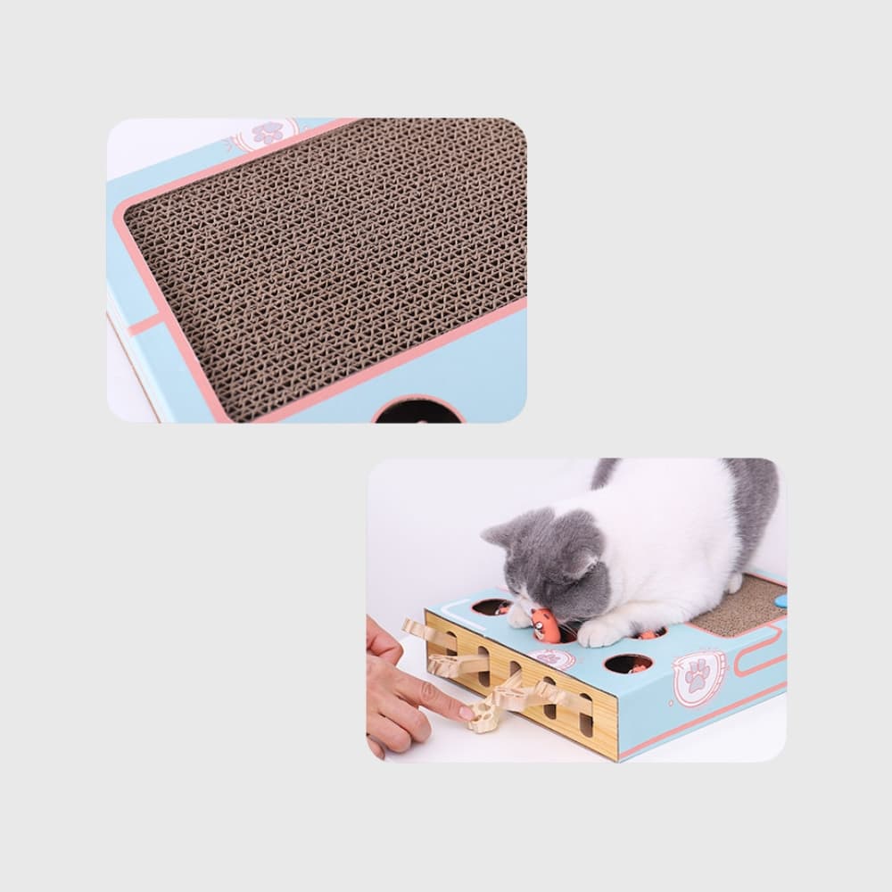 Whack - a - Mole Cat Scratching Toy - catati - nz - cat - products - online