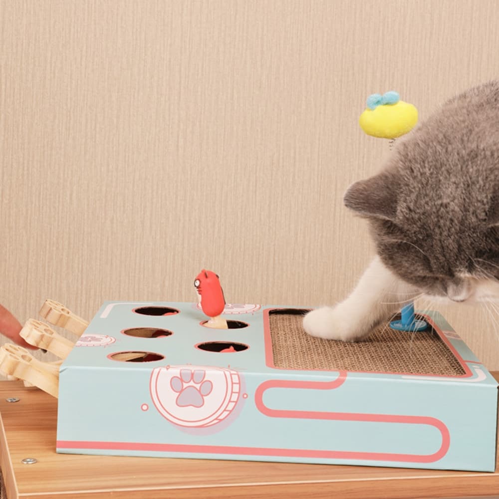 Whack - a - Mole Cat Scratching Toy - catati - nz - cat - products - online