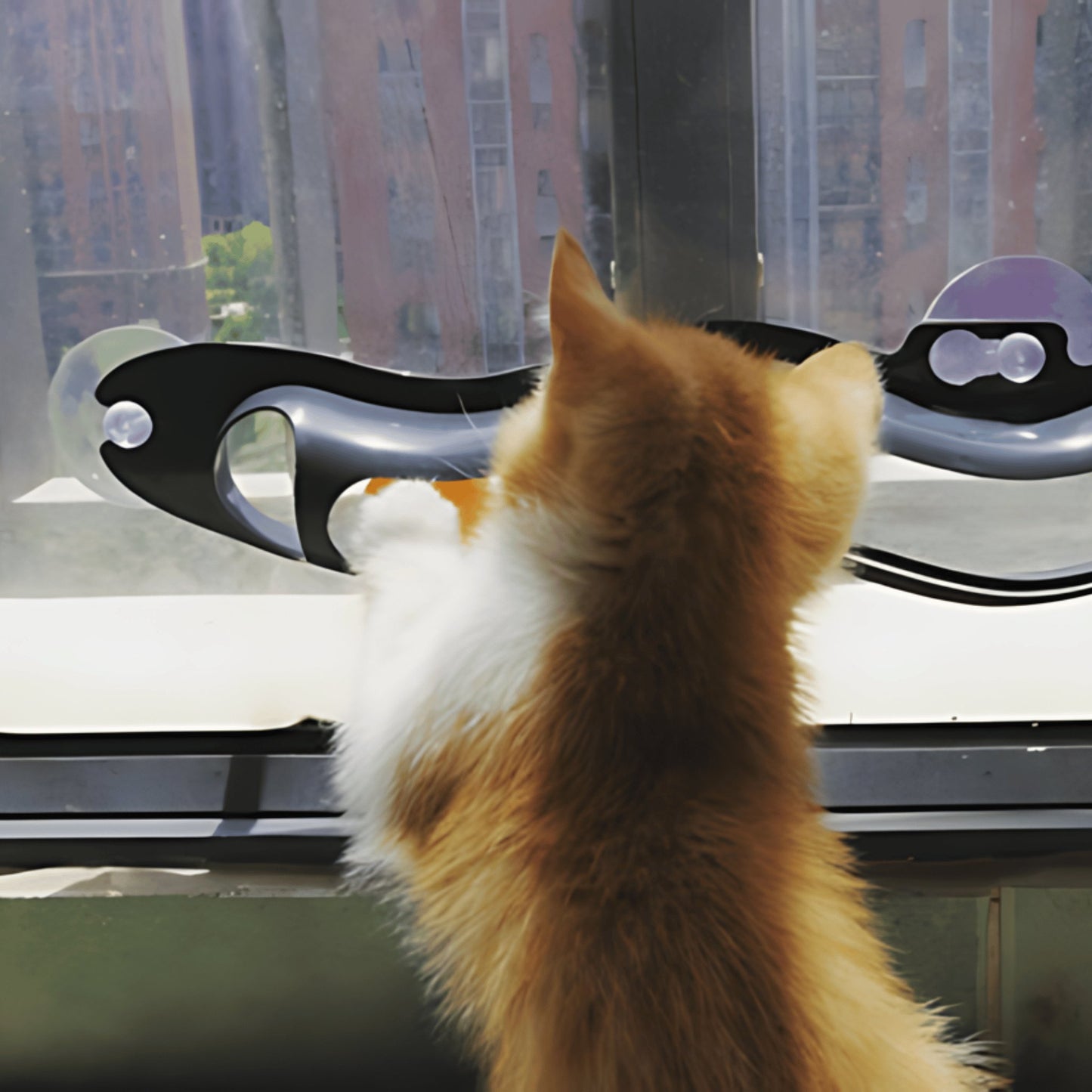 Window Suction Ball Cat Toy - catati - nz - cat - products - online