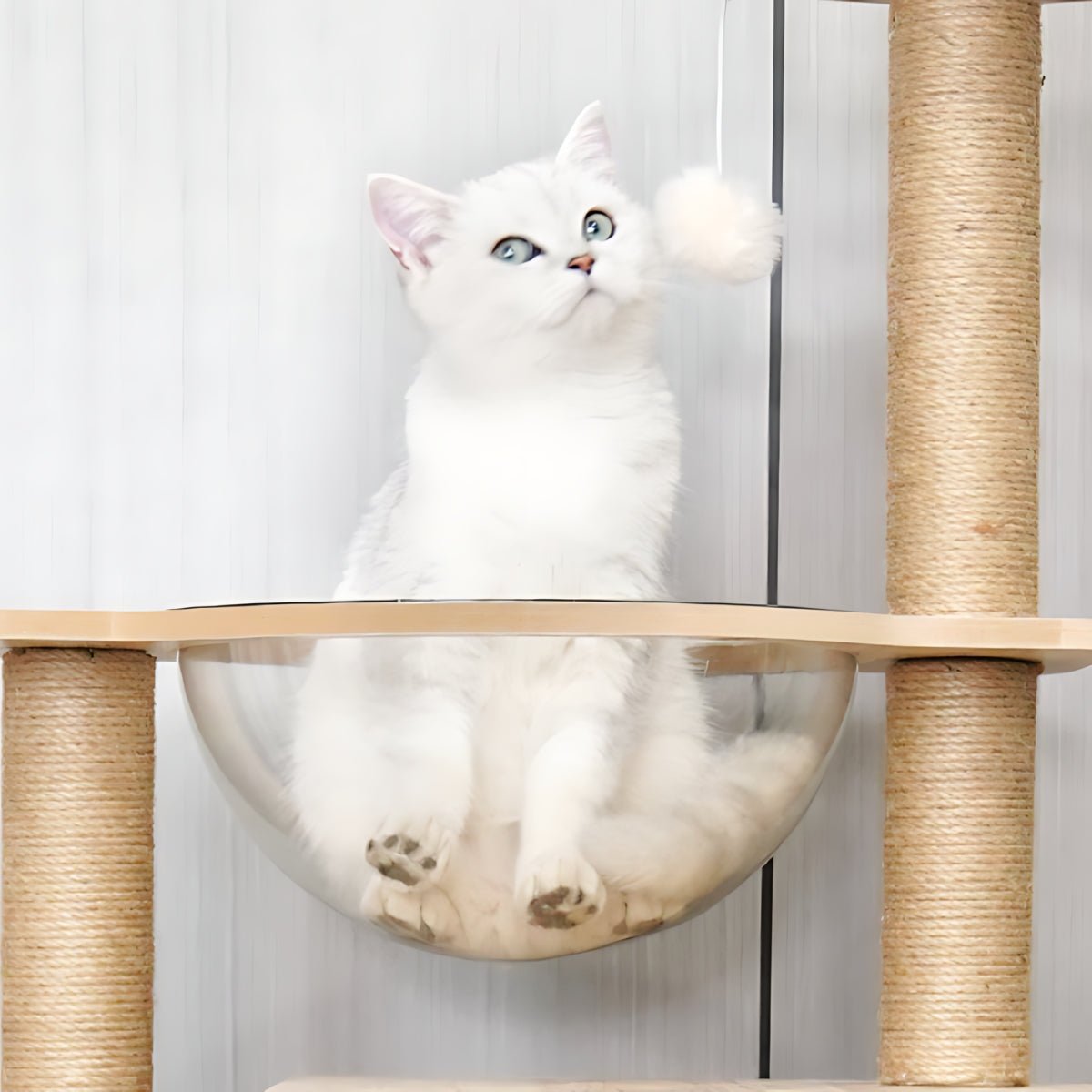 Wooden Cat Tree with Space Capsule & Scratching Post - catati - nz - cat - products - online