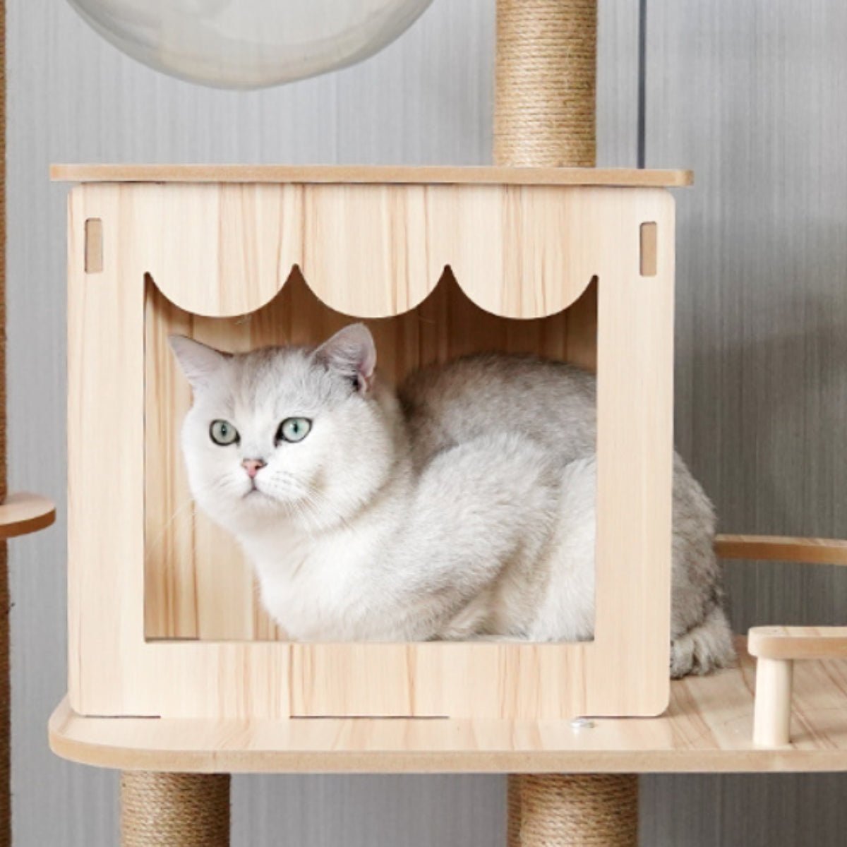 Wooden Cat Tree with Space Capsule & Scratching Post - catati - nz - cat - products - online